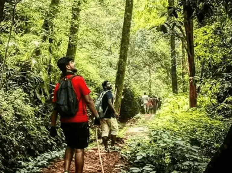 Adventure trekking in Dandeli